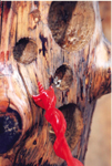 Wood Drill Bits - Fireball - carbide tipped wood boring bits - auger - pole bits - part numbers - H Series - carbide tipped drill bits, wood, masonry, pole, auger, bit counter bore sink repair retip refurbish sharpen custom manufacture